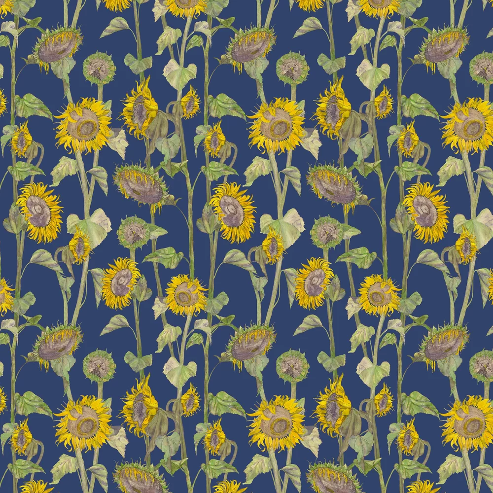 Sunflowers Wallpaper - Blue - Petronella Hall