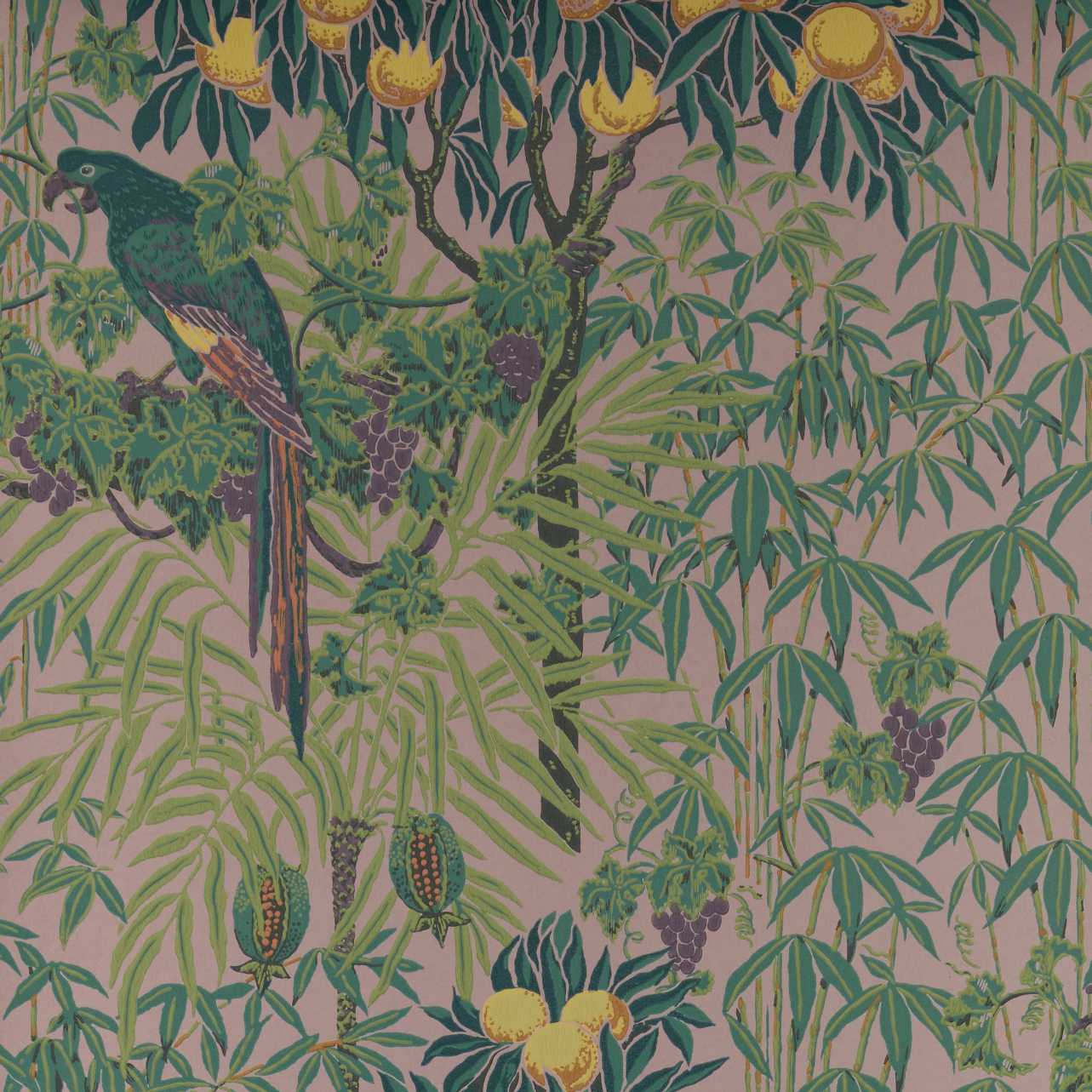 V&A Macaw - Blush Pink Wallpaper - 1838 wallcoverings