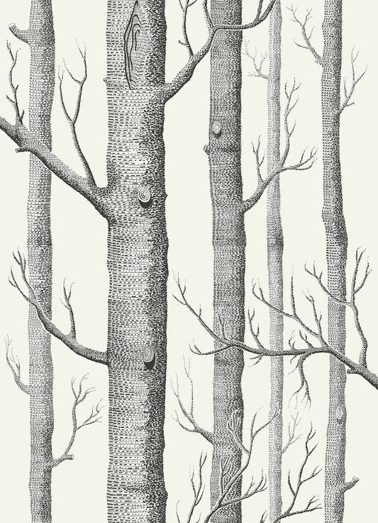 Woods Wallpaper - Gray - Cole & Son