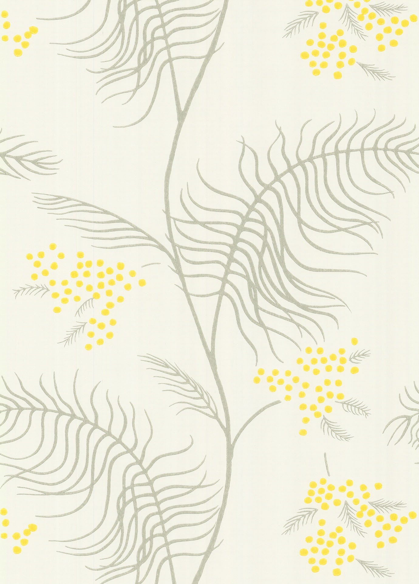 Mimosa Wallpaper - White - Cole & Son