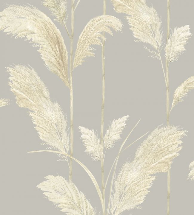 Pampas Grass Wallpaper - Purple