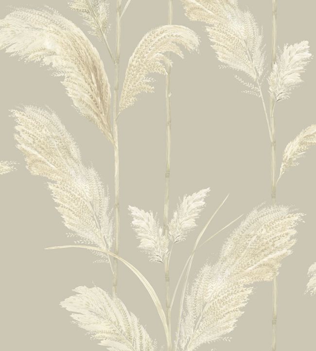 Pampas Grass Wallpaper - Cream 