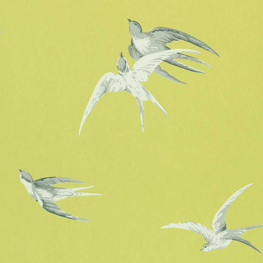 Swallows Wallpaper - Green