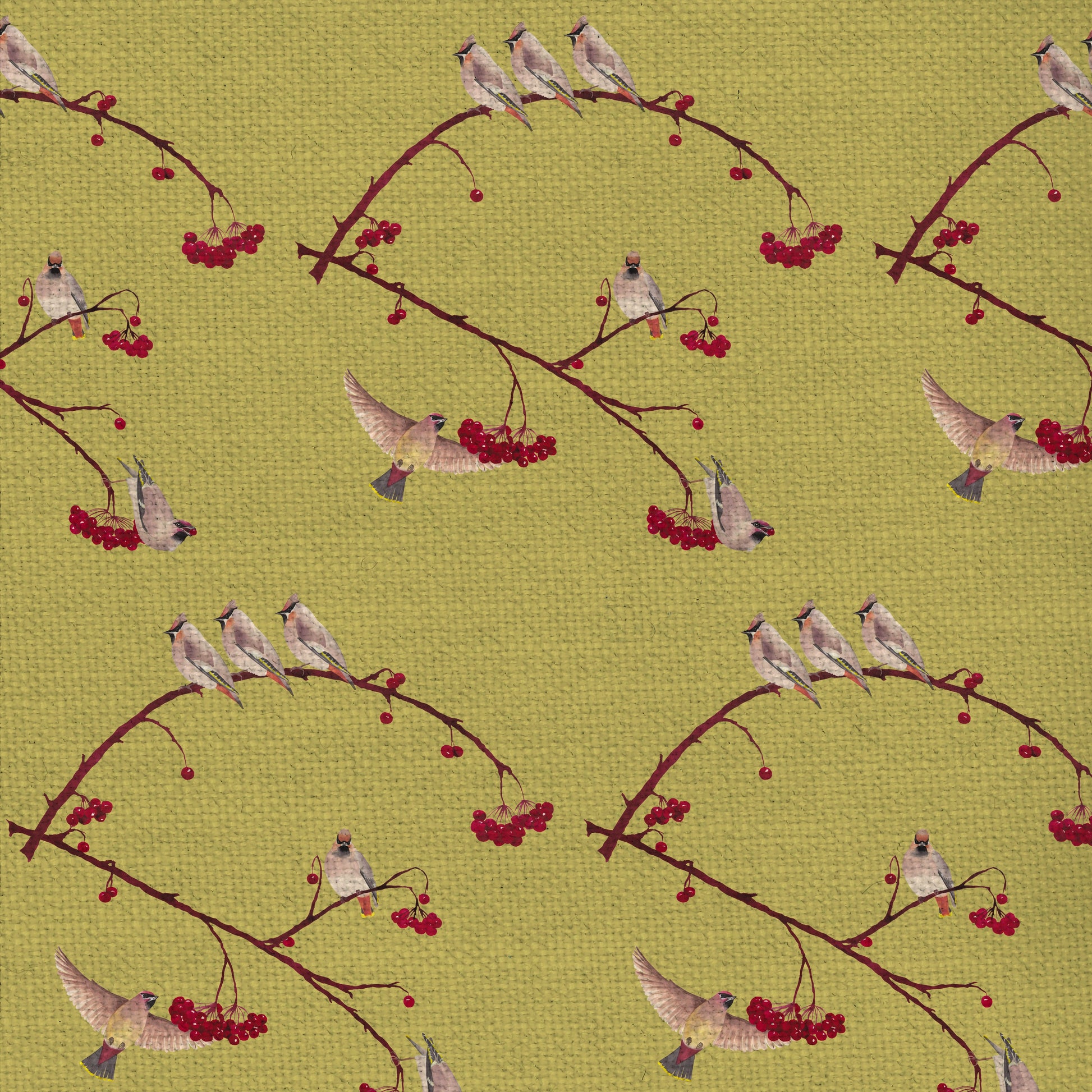 Waxwings Fabric - Lentil - Petronella Hall