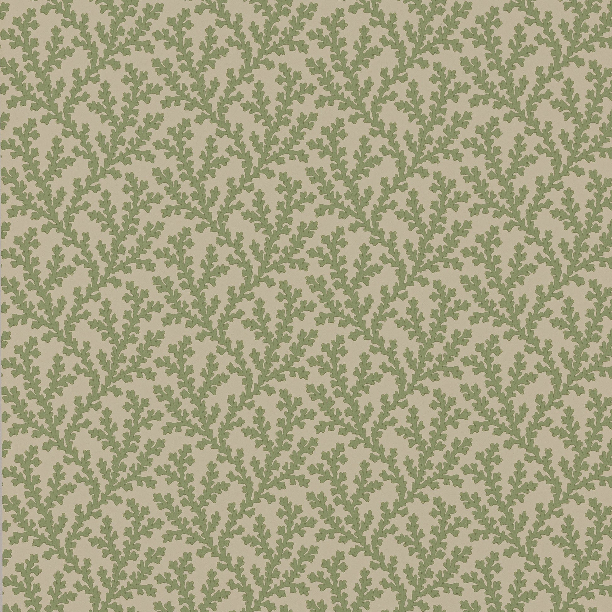 Sea Coral Wallpaper - Green