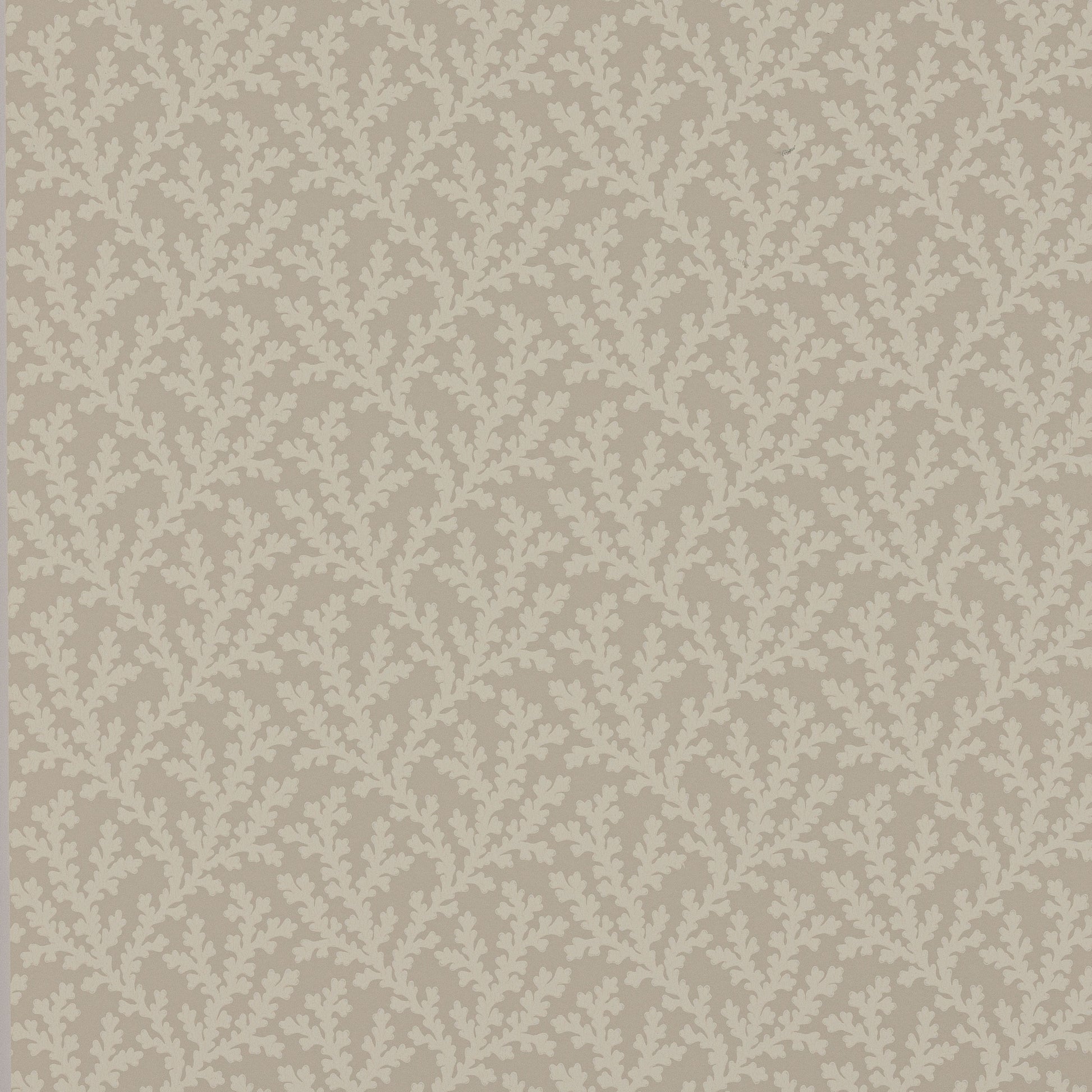 Sea Coral Wallpaper - Cream