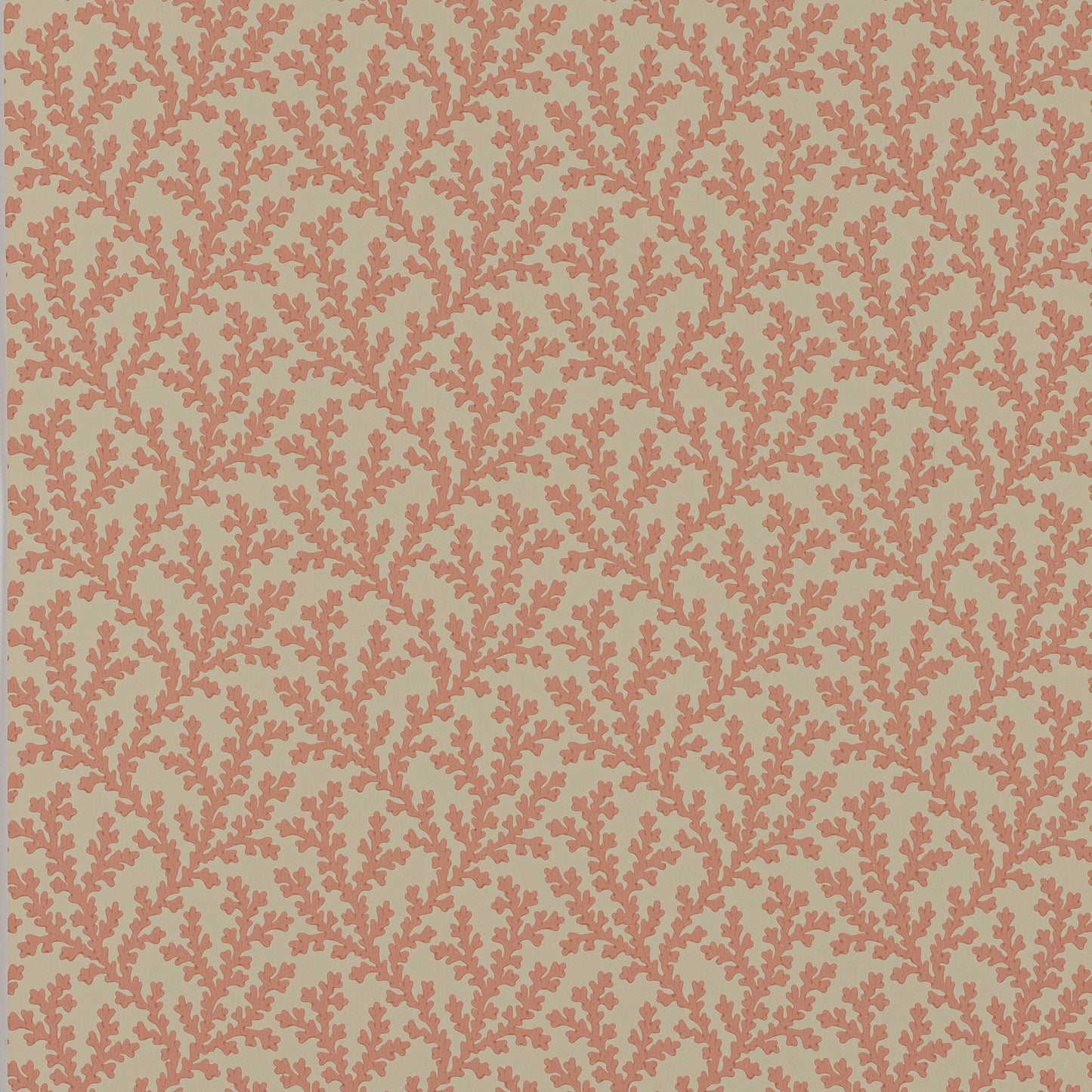 Sea Coral Wallpaper - Pink