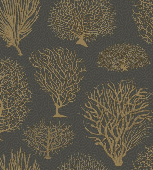 Seafern Wallpaper - Black - Cole & Son