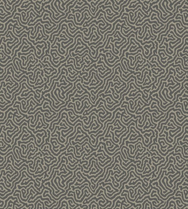 Vermicelli Wallpaper - Gray  - Cole & Son