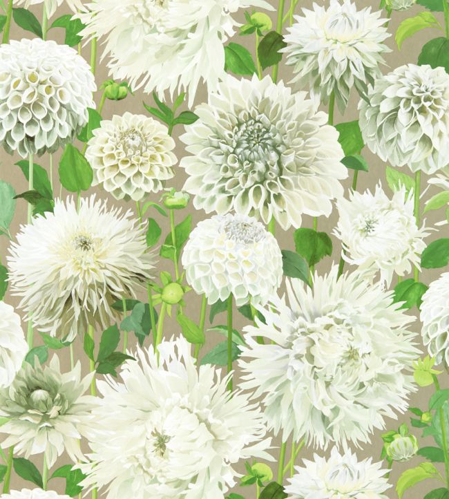 Dahlia Wallpaper - Green