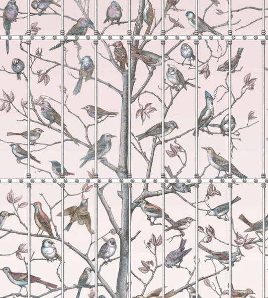 Uccelli Wallpaper - Pink - Cole & Son