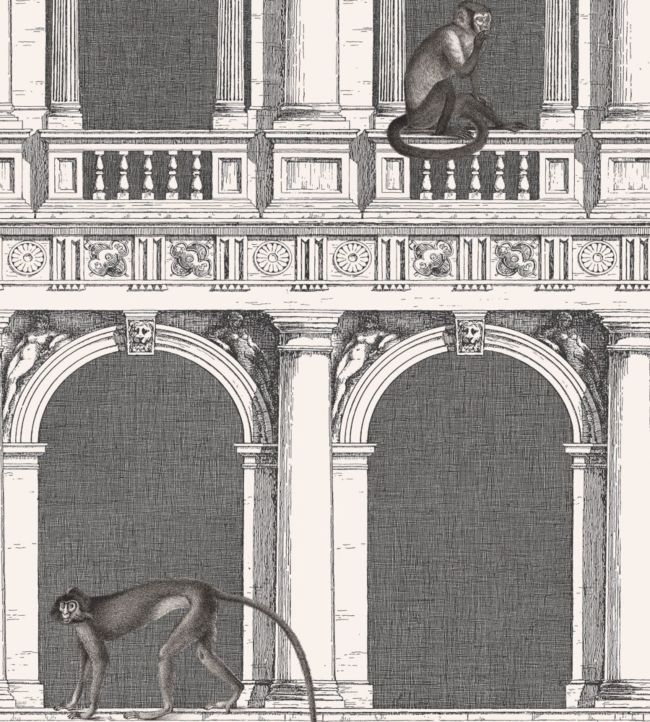Procuratie E Scimmie Wallpaper - Gray - Cole & Son