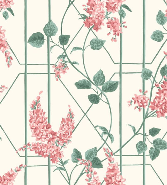 Wisteria Wallpaper - Pink  - Cole & Son