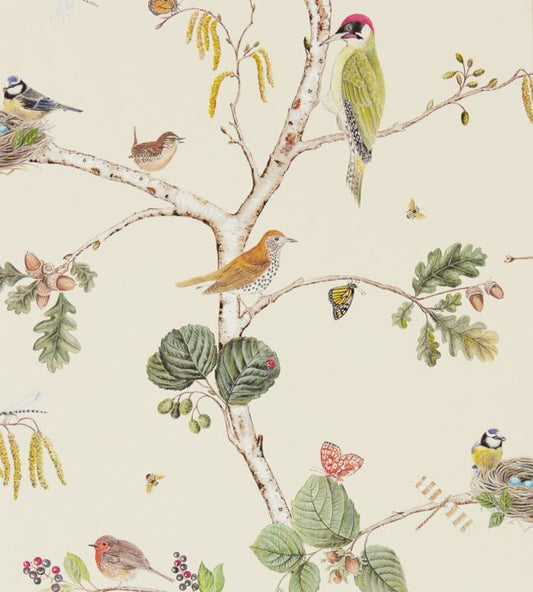 Woodland Chorus Wallpaper - Green