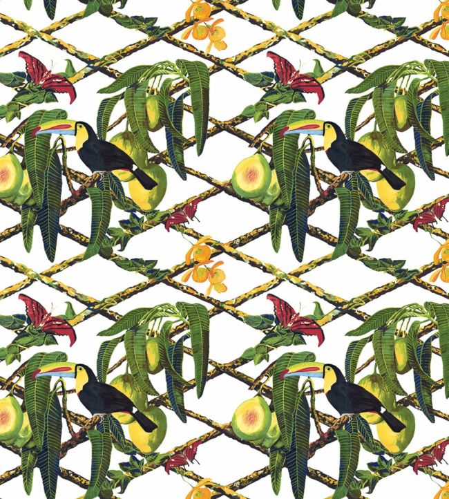 Tucan Fabric - Green - Gaston y Daniela