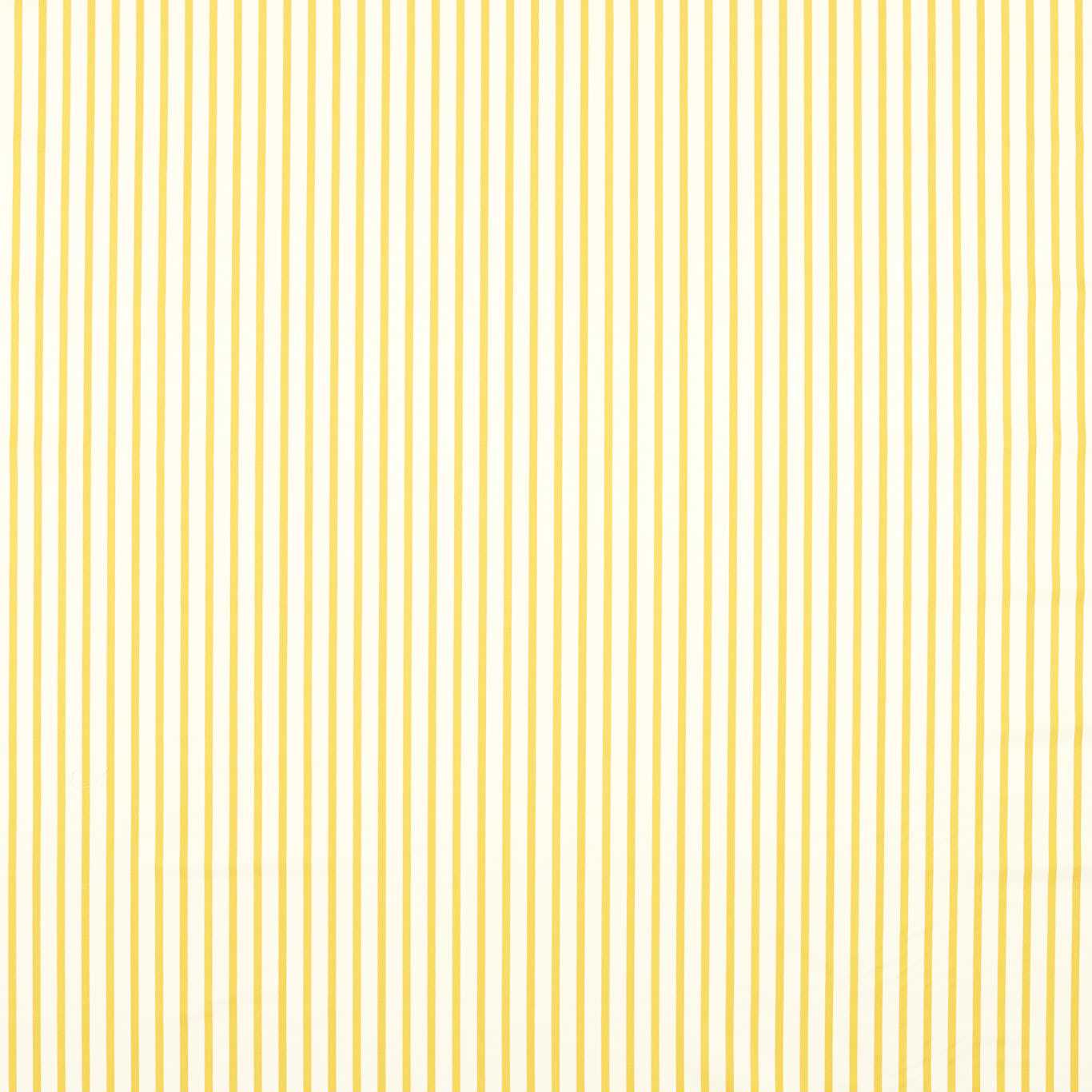 Ribbon Stripe Fabric - Citrine