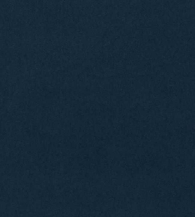 Wardle Velvet Fabric - Blue