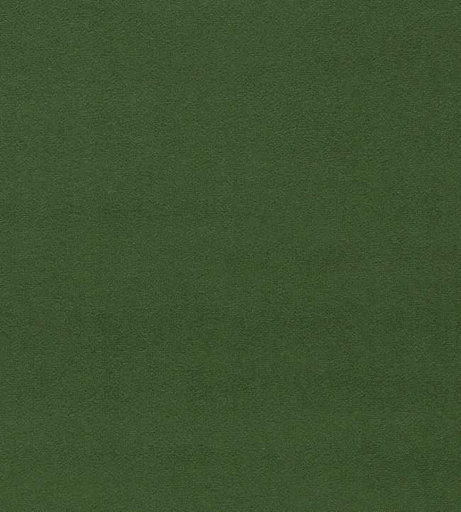 Wardle Velvet Fabric - Green