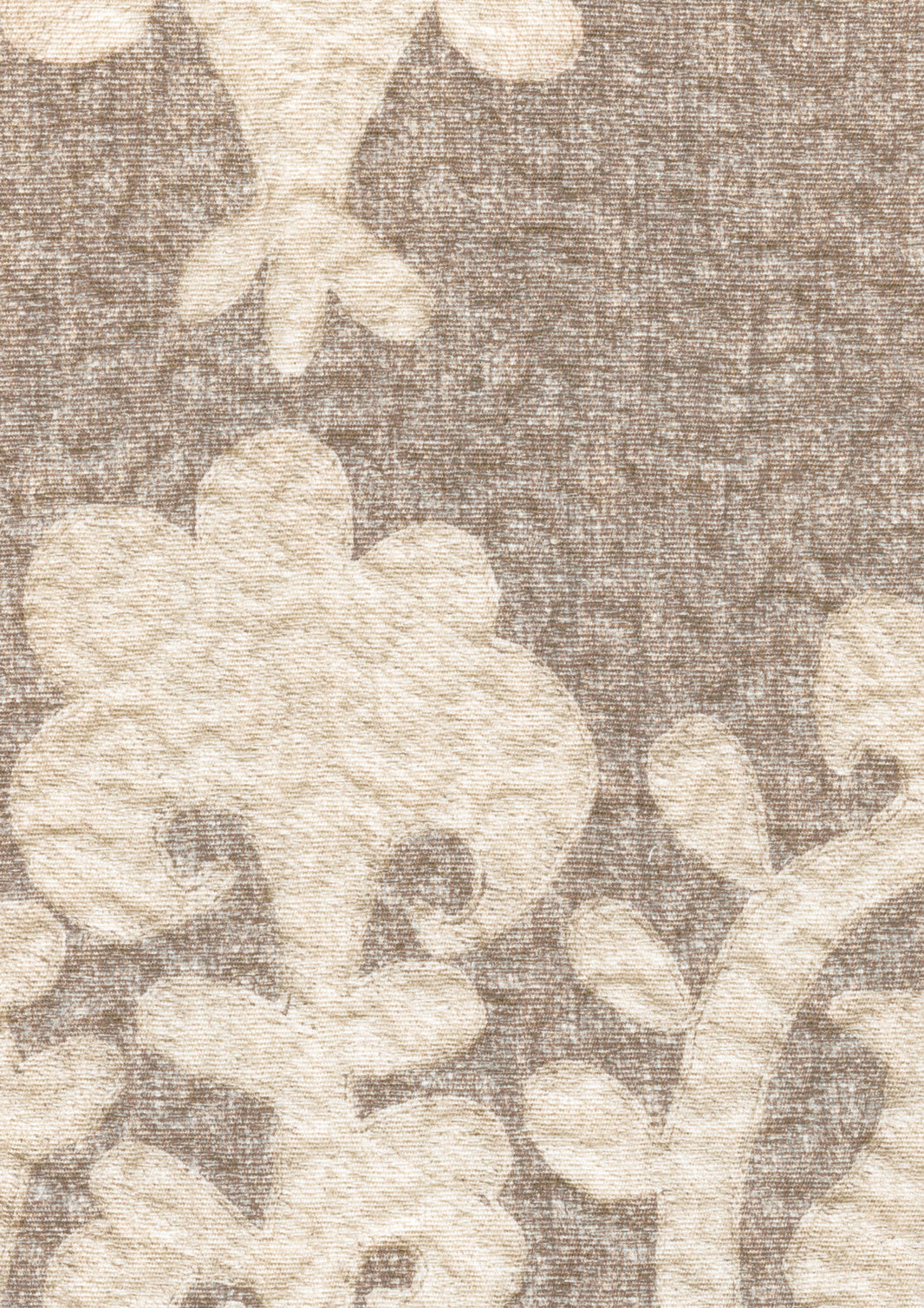 Saracen Pumice Fabric - Lewis & Wood